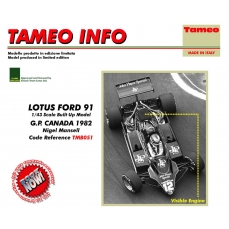 Lotus Ford 91