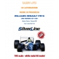 Williams Renault FW16-SLK134